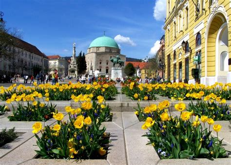 pécs utcanevek|Utcakereső Pécs térkép utca házszám és cím keresése